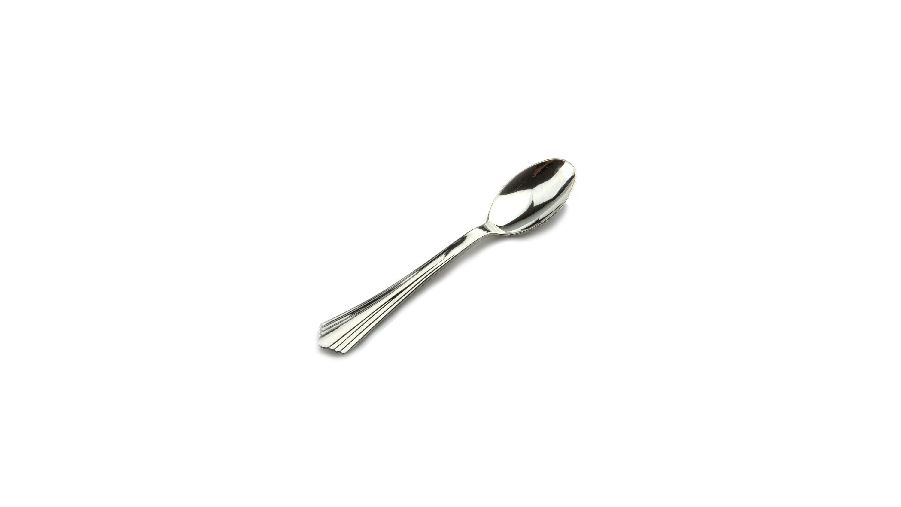 Stainless Steel Heavy Duty Spoon Silver