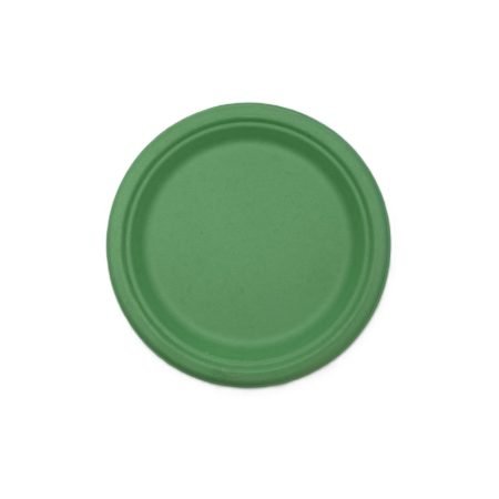 225mm Sugar Cane Plate Pastel Green Pk25